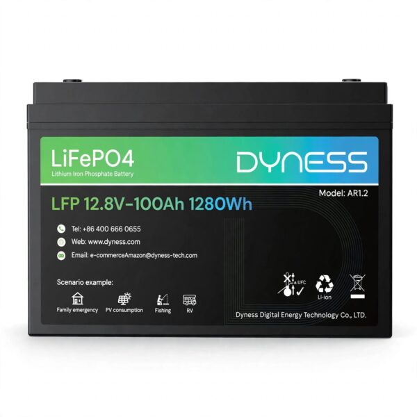 dyness 12V